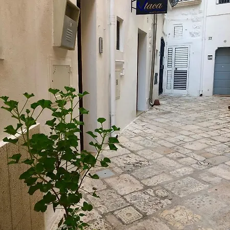 Itaca To Explorers In Holiday home *